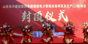 荣耀封顶，共鉴辉煌时刻——德源电力智能设备研发及...